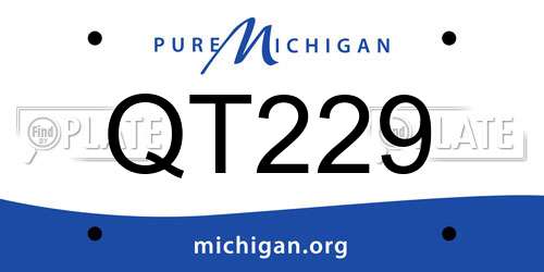 QT229 Michigan License Plate