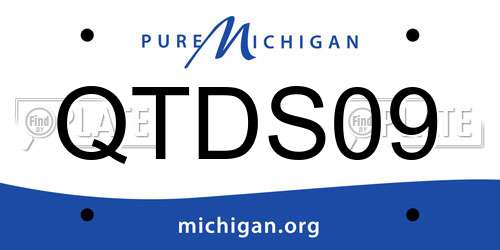 QTDS09 Michigan License Plate