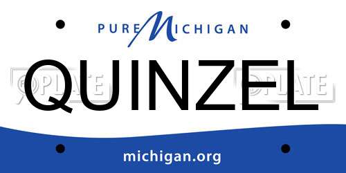 QUINZEL Michigan License Plate