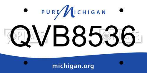 QVB8536 Michigan License Plate