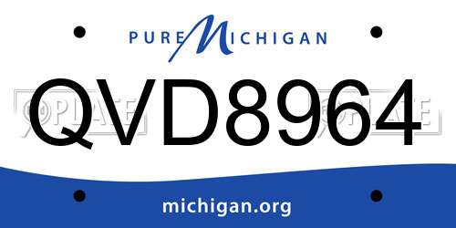 QVD8964 Michigan License Plate