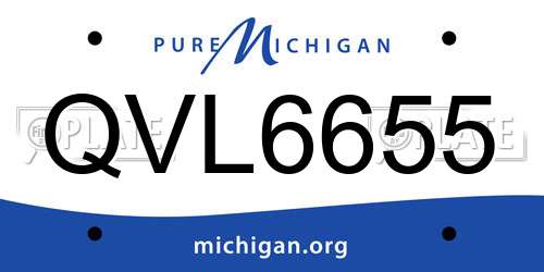 QVL6655 Michigan License Plate