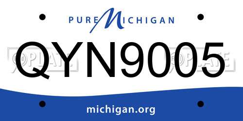 QYN9005 Michigan License Plate