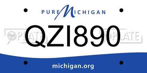 QZI890 Michigan License Plate