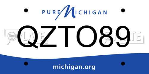 QZTO89 Michigan License Plate