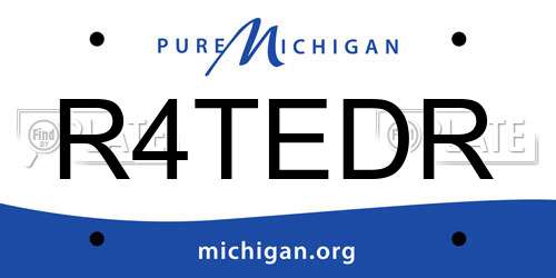 R4TEDR Michigan License Plate