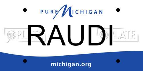 RAUDI Michigan License Plate