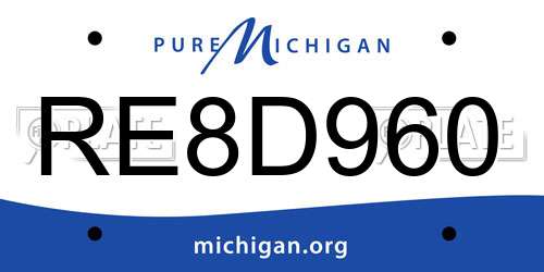 RE8D960 Michigan License Plate