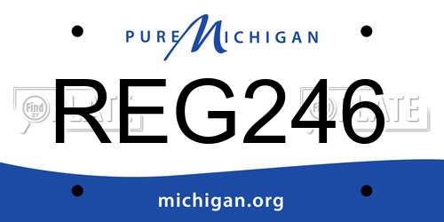 REG246 Michigan License Plate