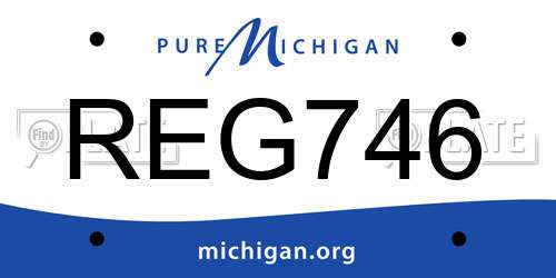 REG746 Michigan License Plate