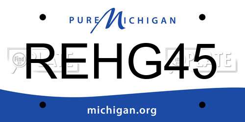 REHG45 Michigan License Plate