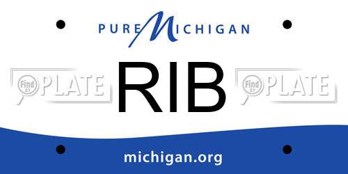 RIB Michigan License Plate