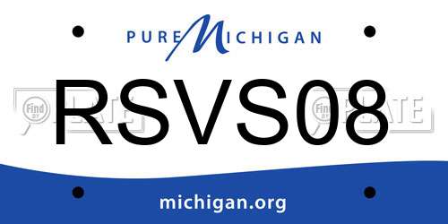 RSVS08 Michigan License Plate