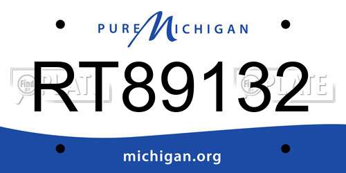 RT89132 Michigan License Plate