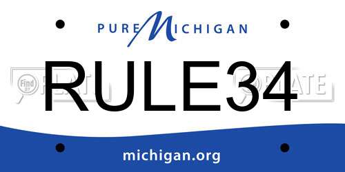 RULE34 Michigan License Plate
