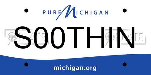 S00THIN Michigan License Plate