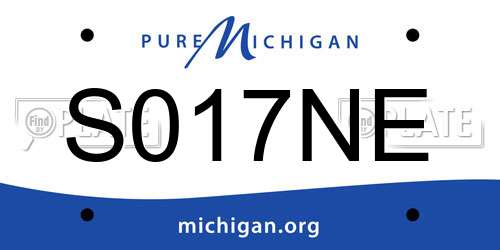 S017NE Michigan License Plate