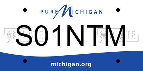 S01NTM Michigan License Plate