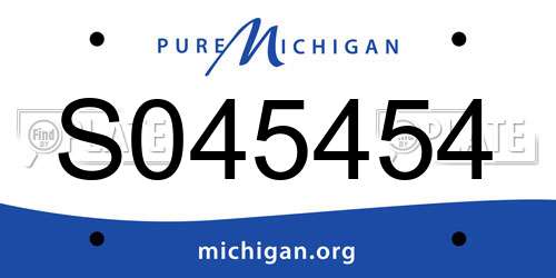 S045454 Michigan License Plate