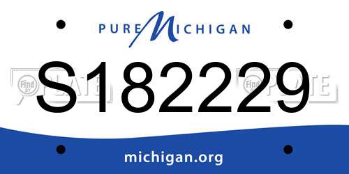 S182229 Michigan License Plate