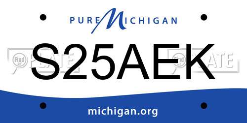 S25AEK Michigan License Plate