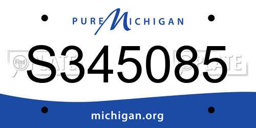 S345085 Michigan License Plate