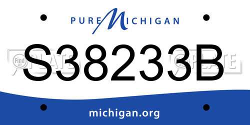 S38233B Michigan License Plate