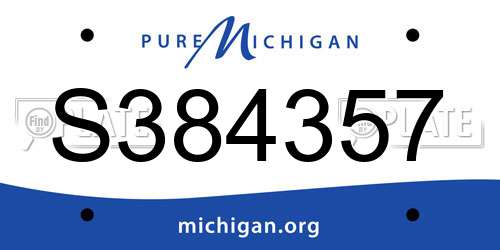 S384357 Michigan License Plate