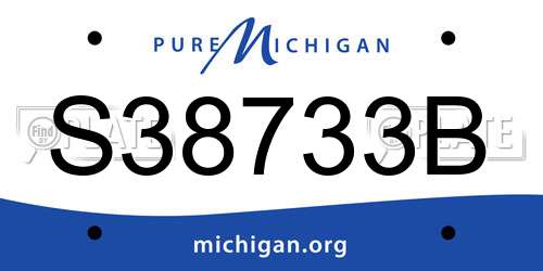 S38733B Michigan License Plate