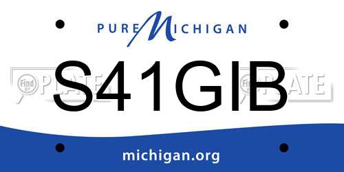 S41GIB Michigan License Plate