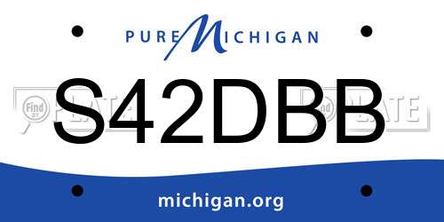S42DBB Michigan License Plate