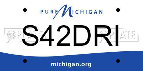 S42DRI Michigan License Plate