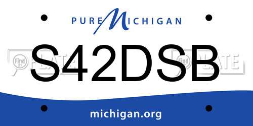 S42DSB Michigan License Plate