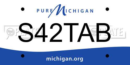 S42TAB Michigan License Plate
