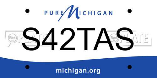 S42TAS Michigan License Plate
