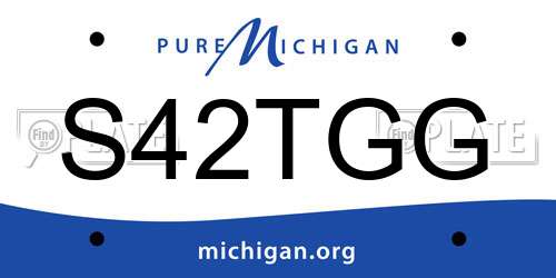 S42TGG Michigan License Plate