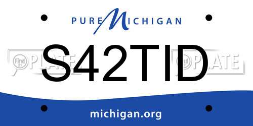 S42TID Michigan License Plate
