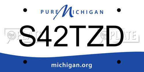 S42TZD Michigan License Plate