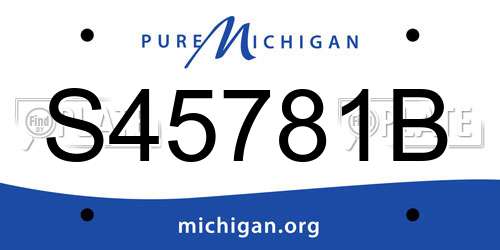 S45781B Michigan License Plate