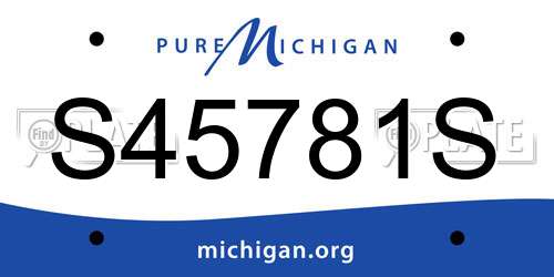 S45781S Michigan License Plate