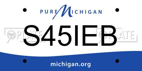 S45IEB Michigan License Plate