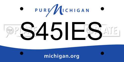 S45IES Michigan License Plate