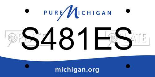 S481ES Michigan License Plate