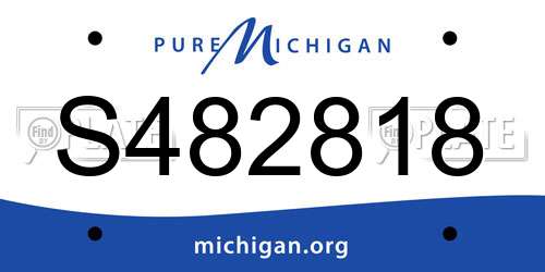 S482818 Michigan License Plate