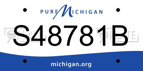 S48781B Michigan License Plate