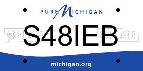 S48IEB Michigan License Plate