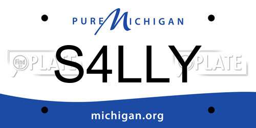 S4LLY Michigan License Plate