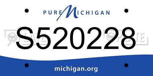 S520228 Michigan License Plate