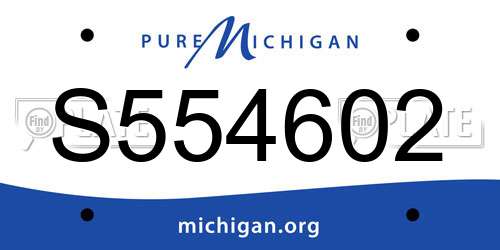 S554602 Michigan License Plate