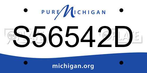 S56542D Michigan License Plate